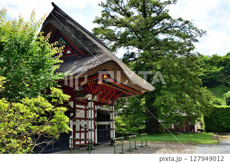 医王寺 唐門 鹿沼市北半田 医王寺 唐門 鹿沼市北半田 127949012