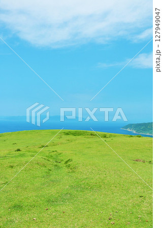 宮崎県 青空の都井岬 宮崎県 青空の都井岬 127949047