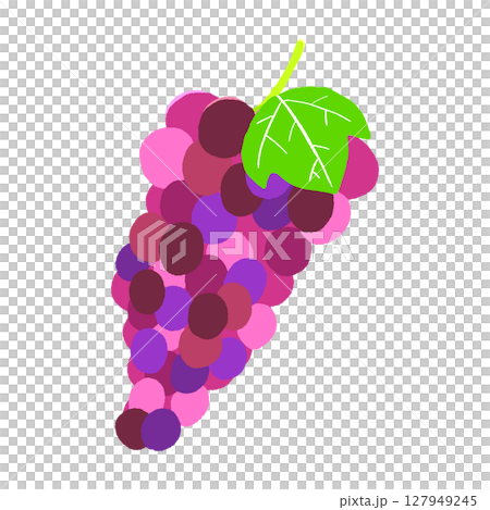 葡萄 127949245