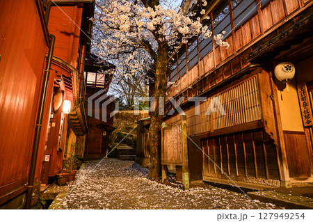 桜が美しい主計町茶屋街 127949254