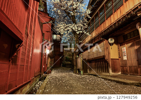 桜が美しい主計町茶屋街 桜が美しい主計町茶屋街 127949256