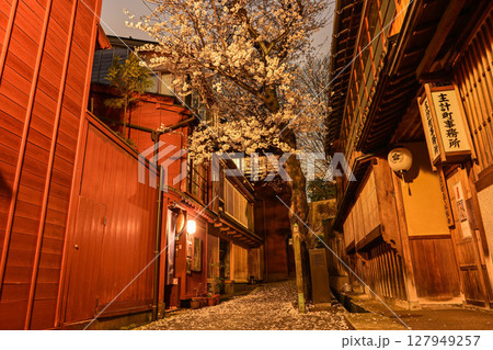 桜が美しい主計町茶屋街 127949257