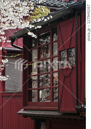 桜が美しい主計町茶屋街 127949267