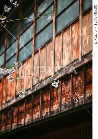 桜が美しい主計町茶屋街 桜が美しい主計町茶屋街 127949280