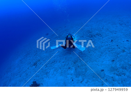 西表島の海 ダイビングの風景 西表島の海 ダイビングの風景 127949959