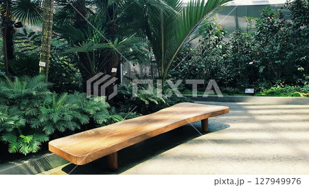 wooden chair in the garden wooden chair in the garden 127949976