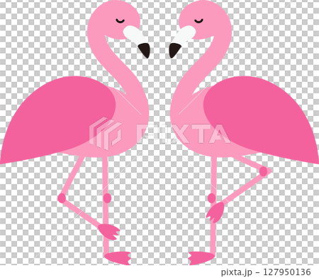 火烈鳥面對面的插圖素材 火烈鳥面對面的插圖素材 127950136