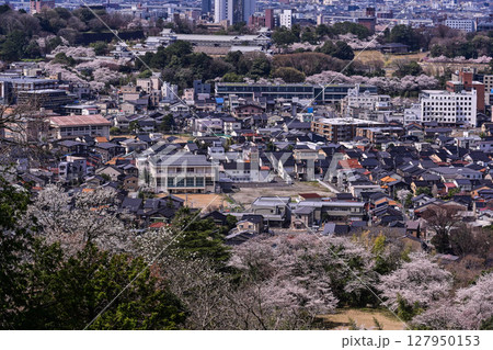 桜咲く金沢の街並み 桜咲く金沢の街並み 127950153
