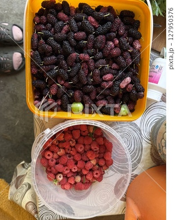 Colorful mix of ripe mulberries and raspberries in orange plastic containers, freshly harvested and ready for sale or consumption. 127950376