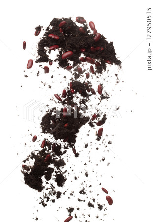 Soil dirt red bean mix fly explosion. Kidney bean soil fertilizer abstract cloud fly. Soil mix red beans planting splash stop in air. white background isolated high speed freeze motion Soil dirt red bean mix fly explosion. Kidney bean soil fertilizer abstract cloud fly. Soil mix red beans planting splash stop in air. white background isolated high speed freeze motion 127950515