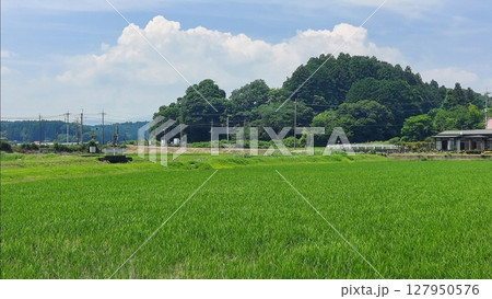 田舎の踏切の風景 田舎の踏切の風景 127950576
