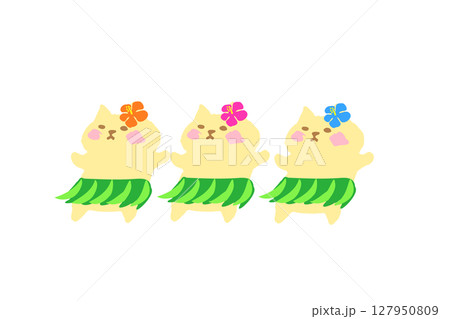 夏・フラダンスを楽しむかわいい猫の手描きイラスト素材 127950809