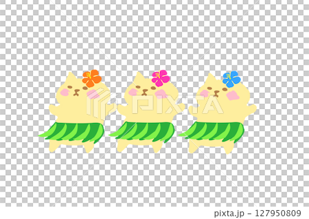 夏・フラダンスを楽しむかわいい猫の手描きイラスト素材 127950809