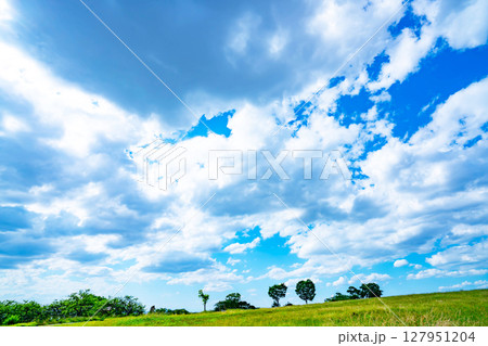 青空と雲と草原 青空と雲と草原 127951204
