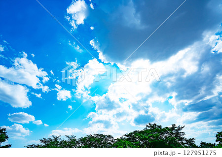 青空と雲と木立 青空と雲と木立 127951275