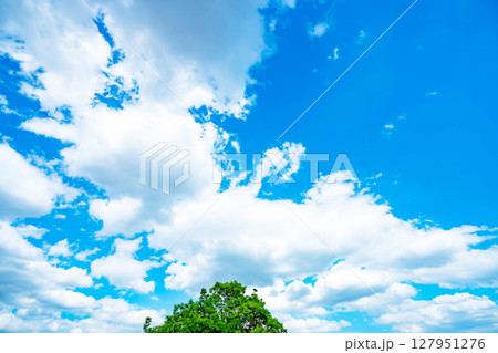 青空と雲と木立 127951276