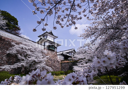 桜満開の金沢城公園 127951299