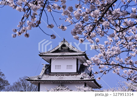 桜満開の金沢城公園 桜満開の金沢城公園 127951314