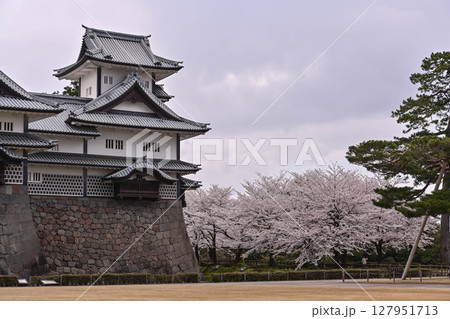 桜満開の金沢城公園 127951713