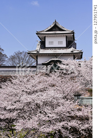 桜満開の金沢城公園 127951741