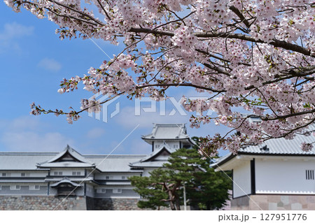 桜満開の金沢城公園 127951776