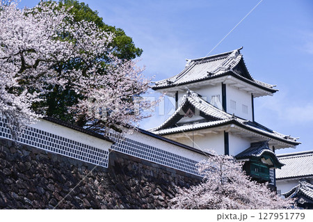 桜満開の金沢城公園 桜満開の金沢城公園 127951779