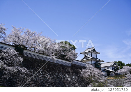 桜満開の金沢城公園 桜満開の金沢城公園 127951780