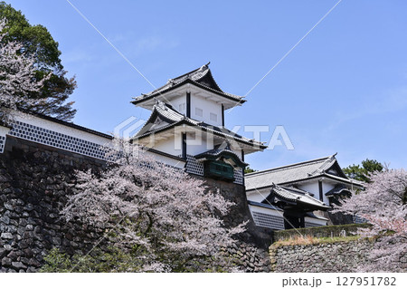 桜満開の金沢城公園 桜満開の金沢城公園 127951782