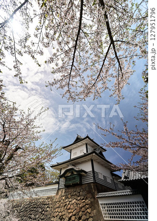桜満開の金沢城公園 127951796