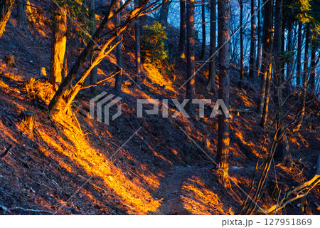 朝日に染まる丹沢主脈 127951869
