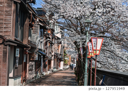 桜が美しい主計町茶屋街 桜が美しい主計町茶屋街 127951949
