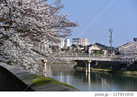 桜が美しい主計町茶屋街 127951950
