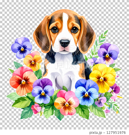 パンジー・ビオラの花とビーグルの仔犬の水彩イラスト3／チラシやポスター用素材 127951976