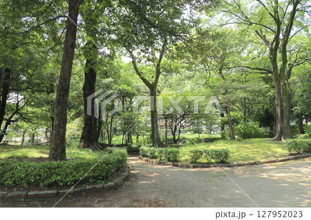 下茶屋公園（名古屋市中区橘） 127952023