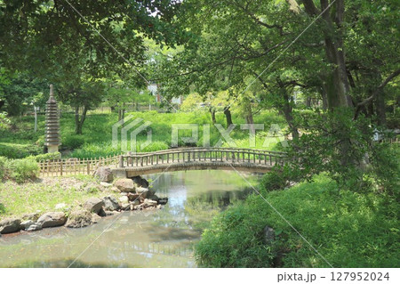 下茶屋公園(名古屋市中区橘) 下茶屋公園(名古屋市中区橘) 127952024