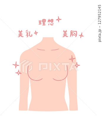 きれいなバストの形の女性の上半身イラスト素材 127952145