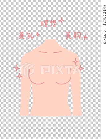 きれいなバストの形の女性の上半身イラスト素材 127952145