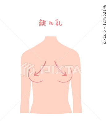 離れ乳の女性の上半身イラスト素材 127952146