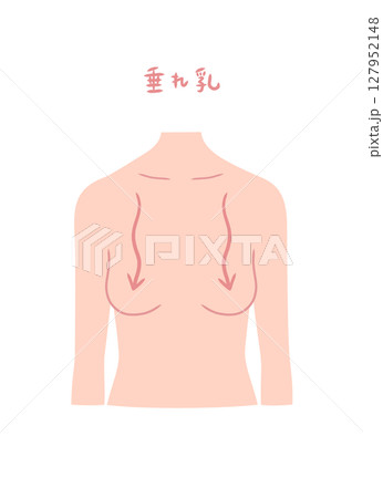 垂れ乳の女性の上半身イラスト素材 127952148