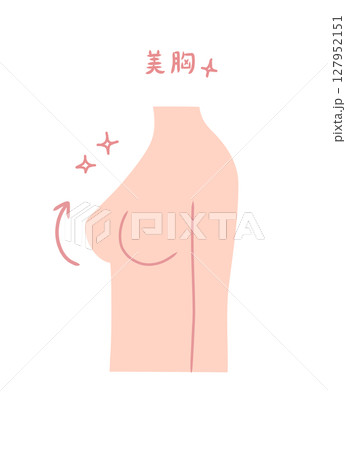 きれいなバストの女性の横向きイラスト素材 127952151