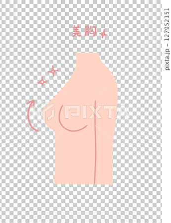 きれいなバストの女性の横向きイラスト素材 127952151