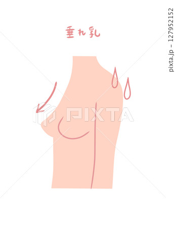 胸が垂れた女性の横向きイラスト素材 127952152