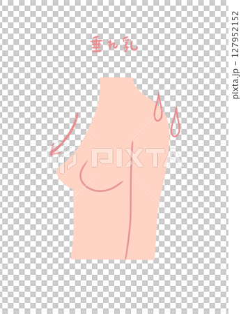 胸が垂れた女性の横向きイラスト素材 127952152