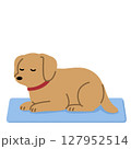 ひんやりマットでくつろぐ犬のイラスト 127952514