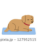 ひんやりマットでくつろぐ犬のイラスト 127952515