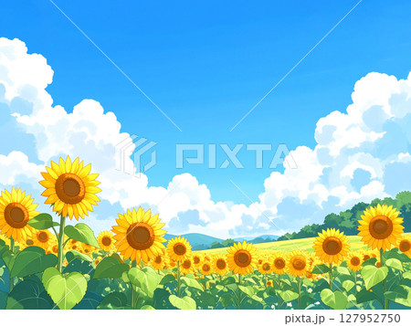 向日葵と青空 127952750