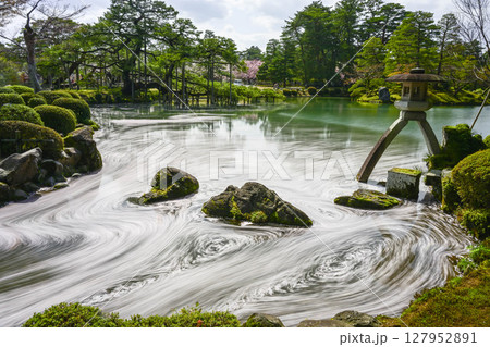 兼六園の花いかだ 兼六園の花いかだ 127952891
