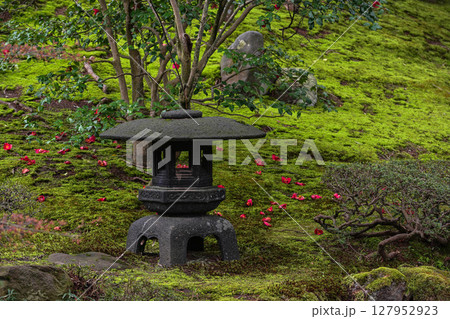 落ち椿が美しい兼六園の春 127952923