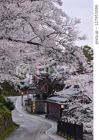 桜が美しい兼六園の春 127953086