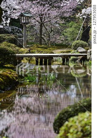 桜が美しい兼六園の春 127953088